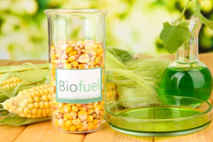 Woodbury biofuel availability