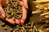 free Woodbury biomass boiler quotes